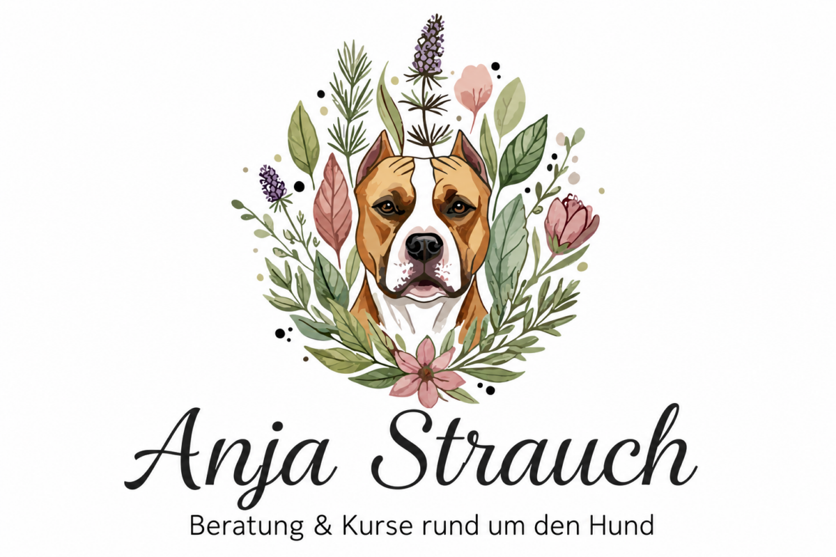 Ganzheitlichkeit und Natur