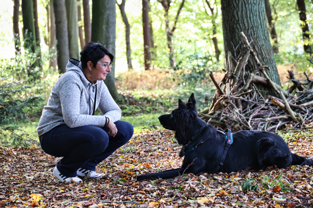 Hundeschule Martin Rütter Cuxhaven/Bremerhaven