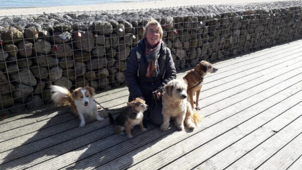 Hundepension Tierisch Menschlich