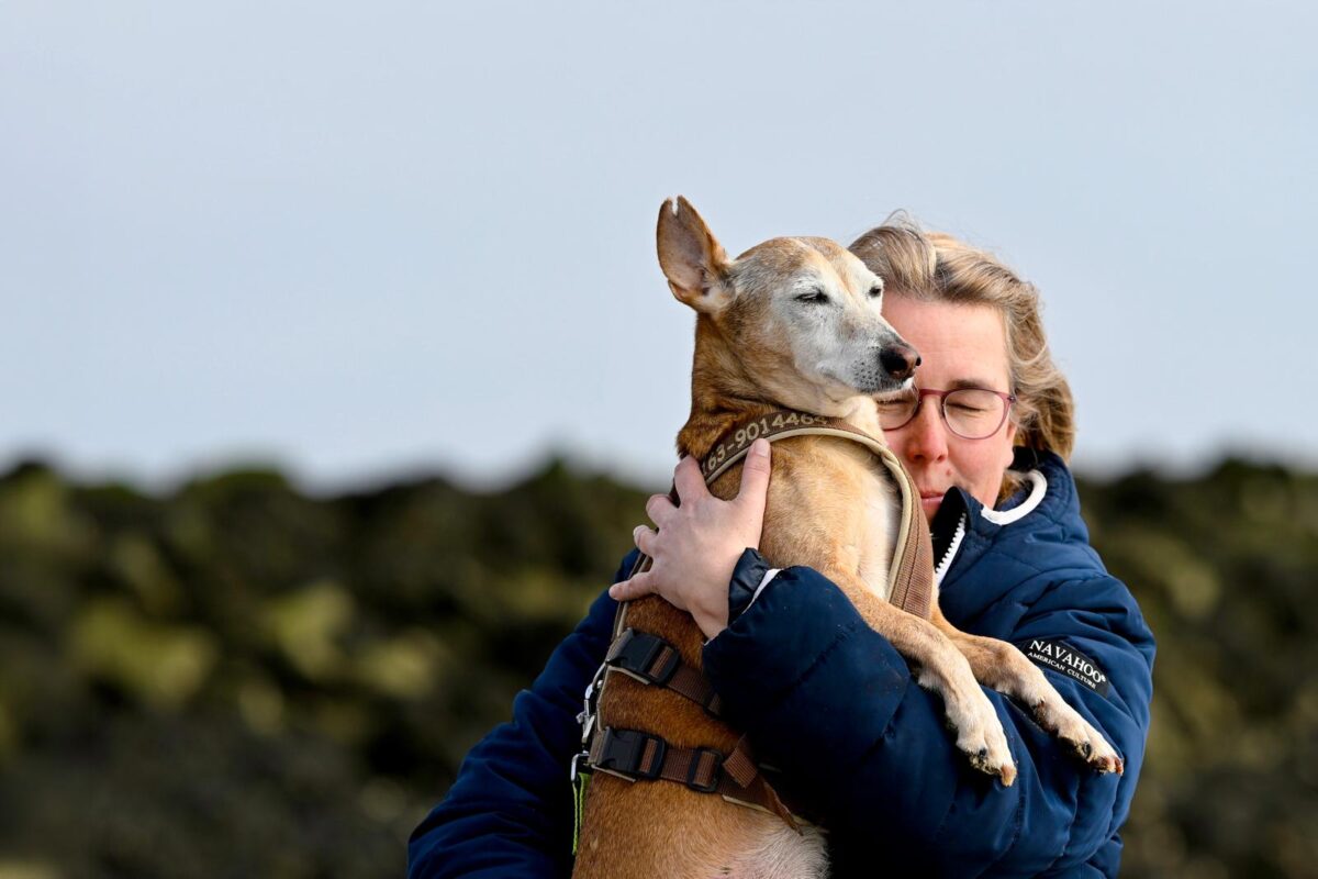 Hundepension Tierisch Menschlich