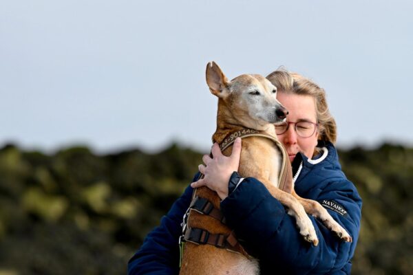 Hundepension Tierisch Menschlich