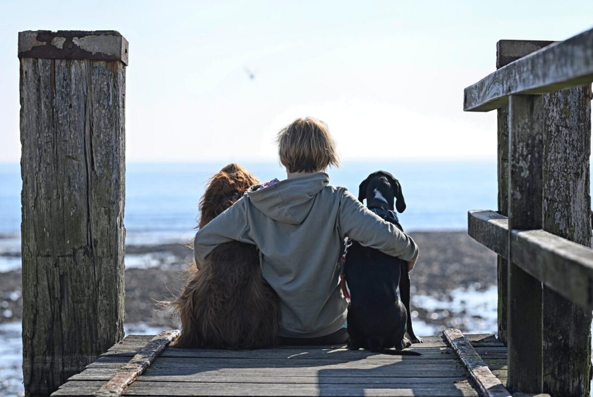 Hundepension Tierisch Menschlich