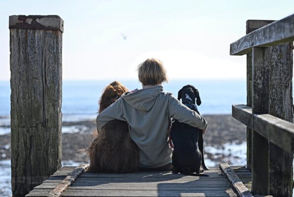 Hundepension Tierisch Menschlich