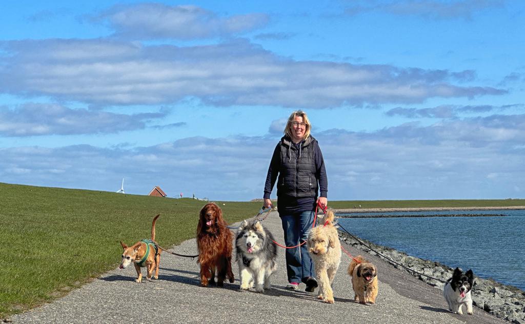 Hundepension Tierisch Menschlich