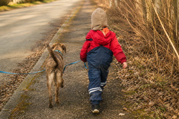 Hundeschule ProKyon – Individuelles Training für Hunde mit Geschichte