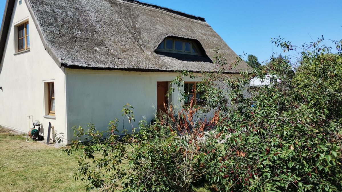 Ferienhaus Huus am Darß – viel Platz für Mensch & Rudel
