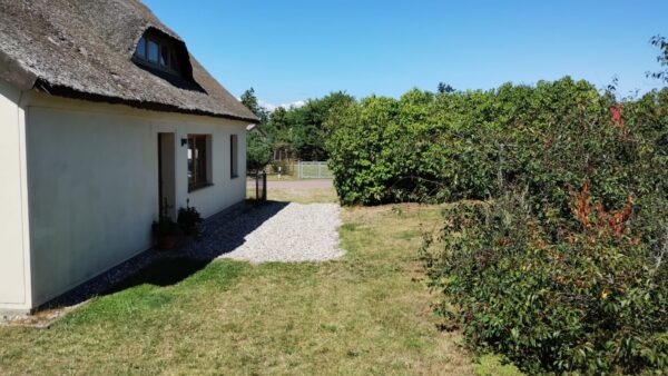 Ferienhaus Huus am Darß – viel Platz für Mensch & Rudel