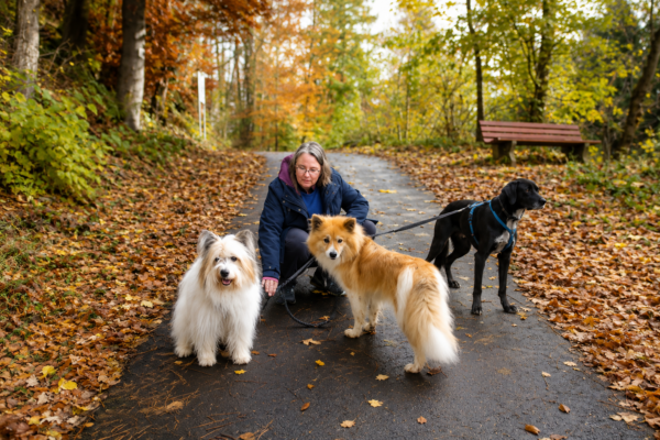 Hundeschule ProKyon – Individuelles Training für Hunde mit Geschichte