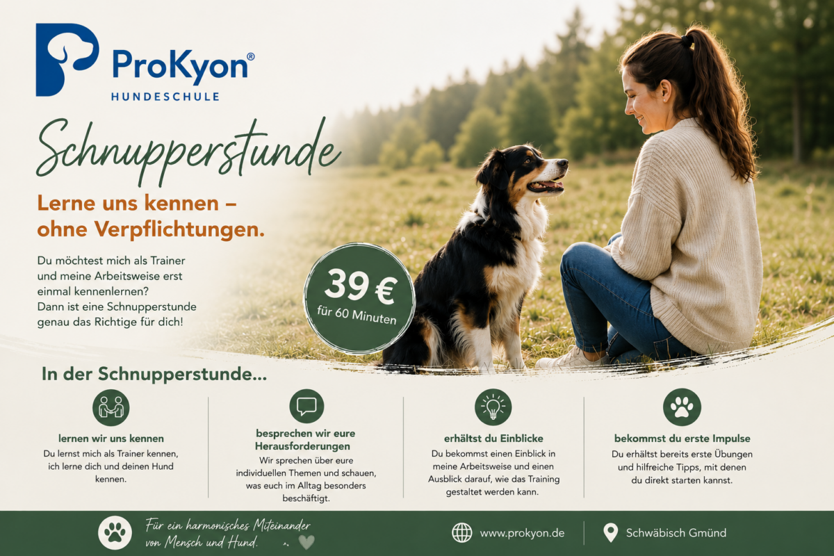 Hundeschule ProKyon – Individuelles Training für Hunde mit Geschichte