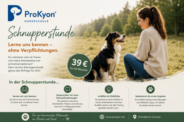 Hundeschule ProKyon – Individuelles Training für Hunde mit Geschichte