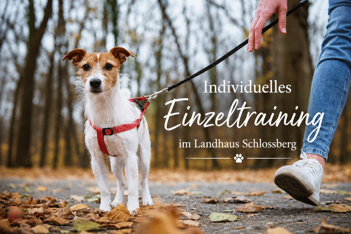 Individuelles Einzeltraining Landhaus Schlossberg