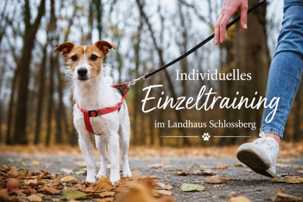 Individuelles Einzeltraining Landhaus Schlossberg