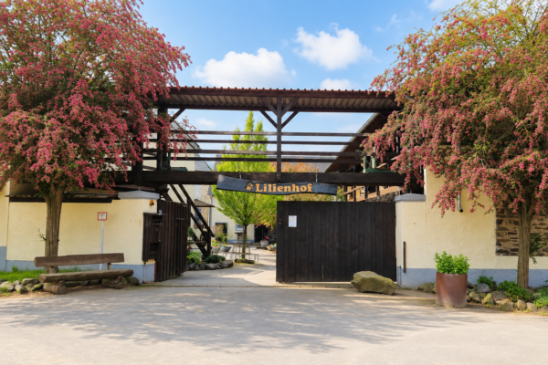 Traumwohnung „Jolly Jumper“ auf idyllischem Reiterhof Nähe Burg Elz