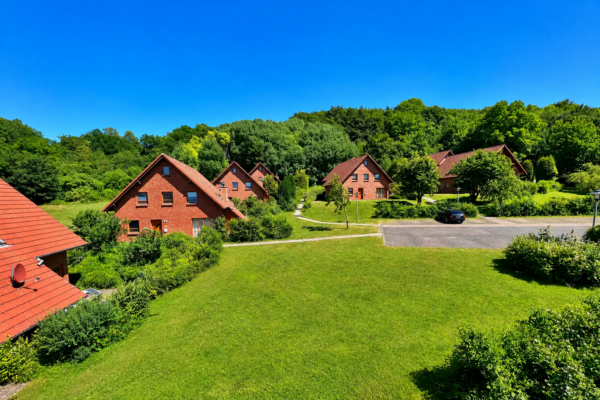 Urlaub mit Hund & Familie im Natur-Ferienpark Am Holsterturm