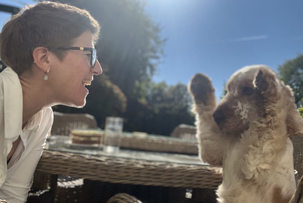 Hundesitting mit Herz - liebevolle Betreuung in vertrauter Umgebung