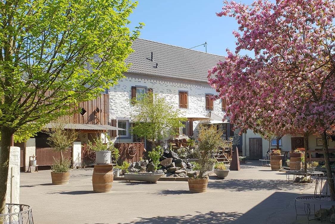Traumwohnung „Jolly Jumper“ auf idyllischem Reiterhof Nähe Burg Elz