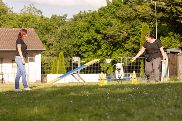 Martin Rütter Hundeschule St. Wendel/Kaiserslautern Kerstin Pirali