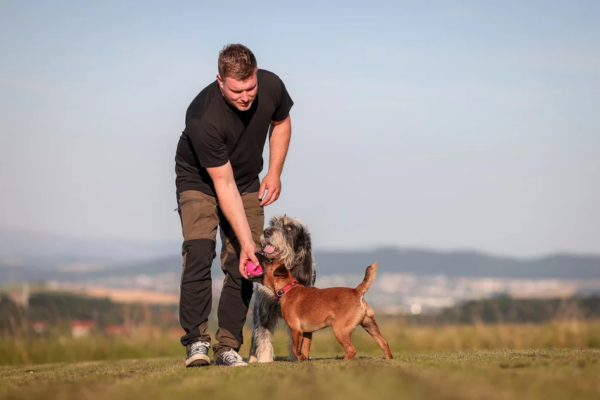 Martin Rütter Hundeschule Göttingen / Northeim