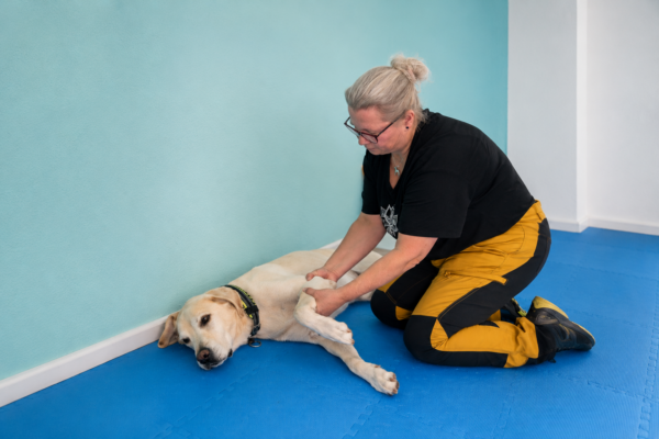 Cathy`s Tierphysio Pfote & Huf