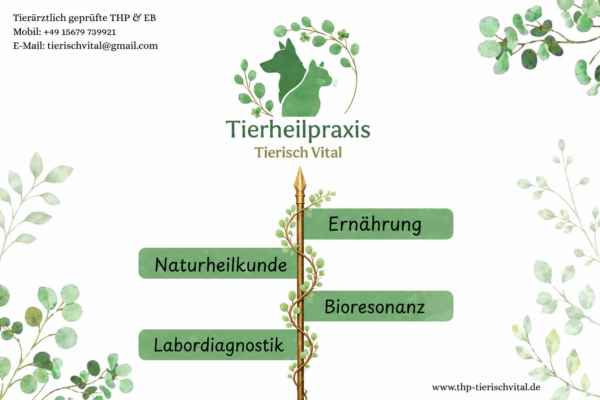 Mobile Tierheilpraxis Tierisch Vital