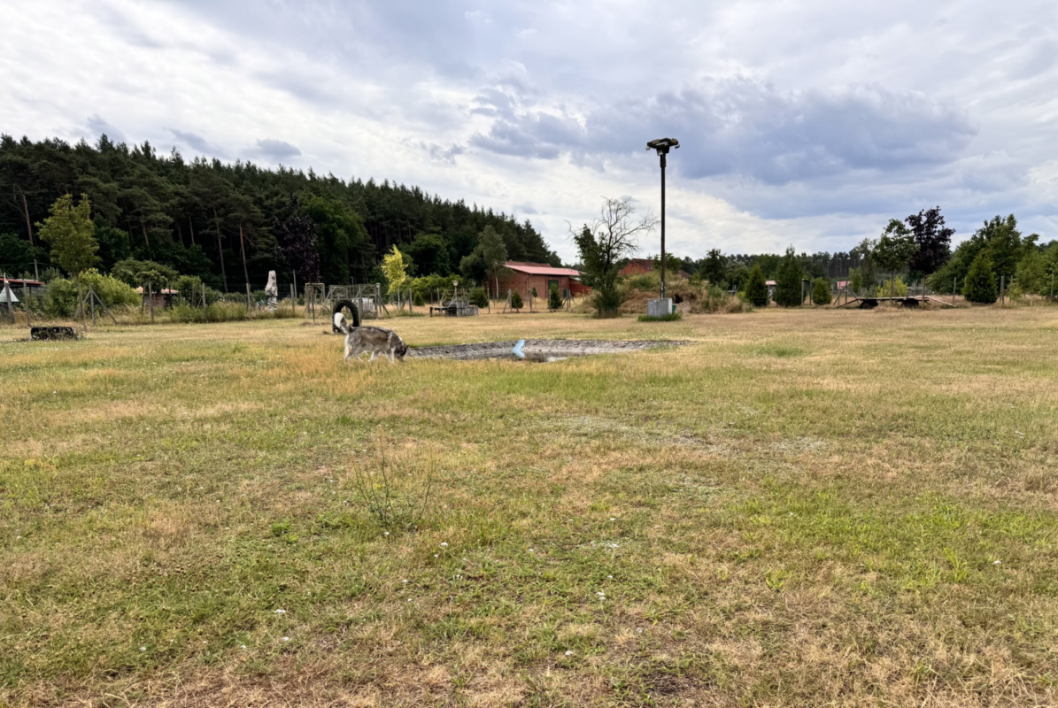Schnauzenhof - Pension für Mensch mit Hund
