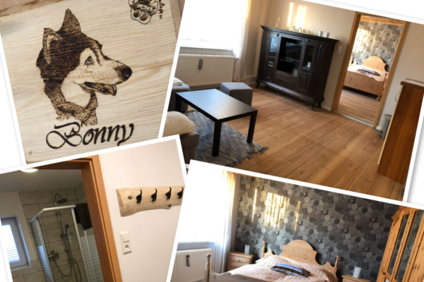 Schnauzenhof - Pension für Mensch mit Hund