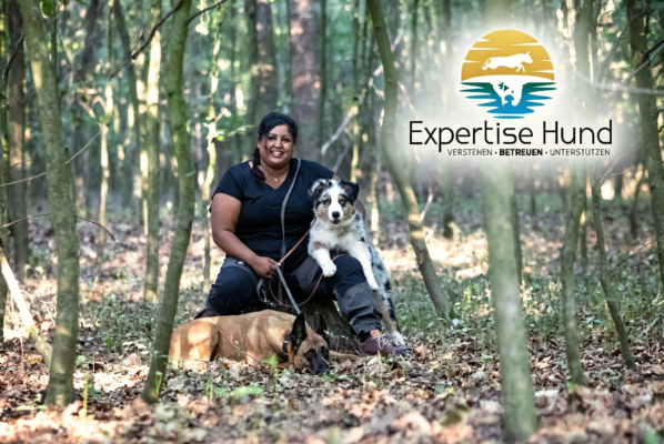 Expertise Hund – Professionelle Mehrtagesbetreuung im Privathaushalt mit Familienanschluss in Haltern am See