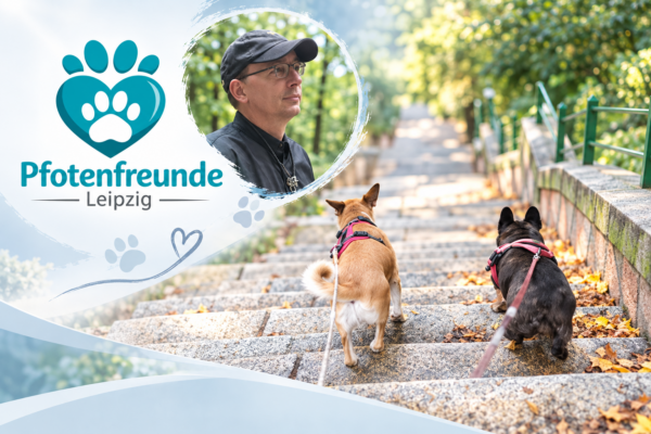 Pfotenfreunde Leipzig - Gassiservice, Hausbesuche, Tagesbetreuung